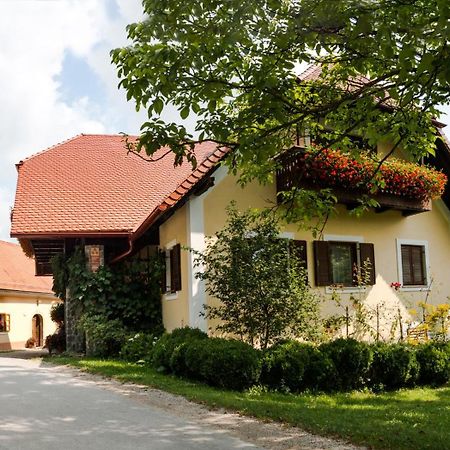 Nova Cerkev Farm Sorzev Mlinヴィラ エクステリア 写真