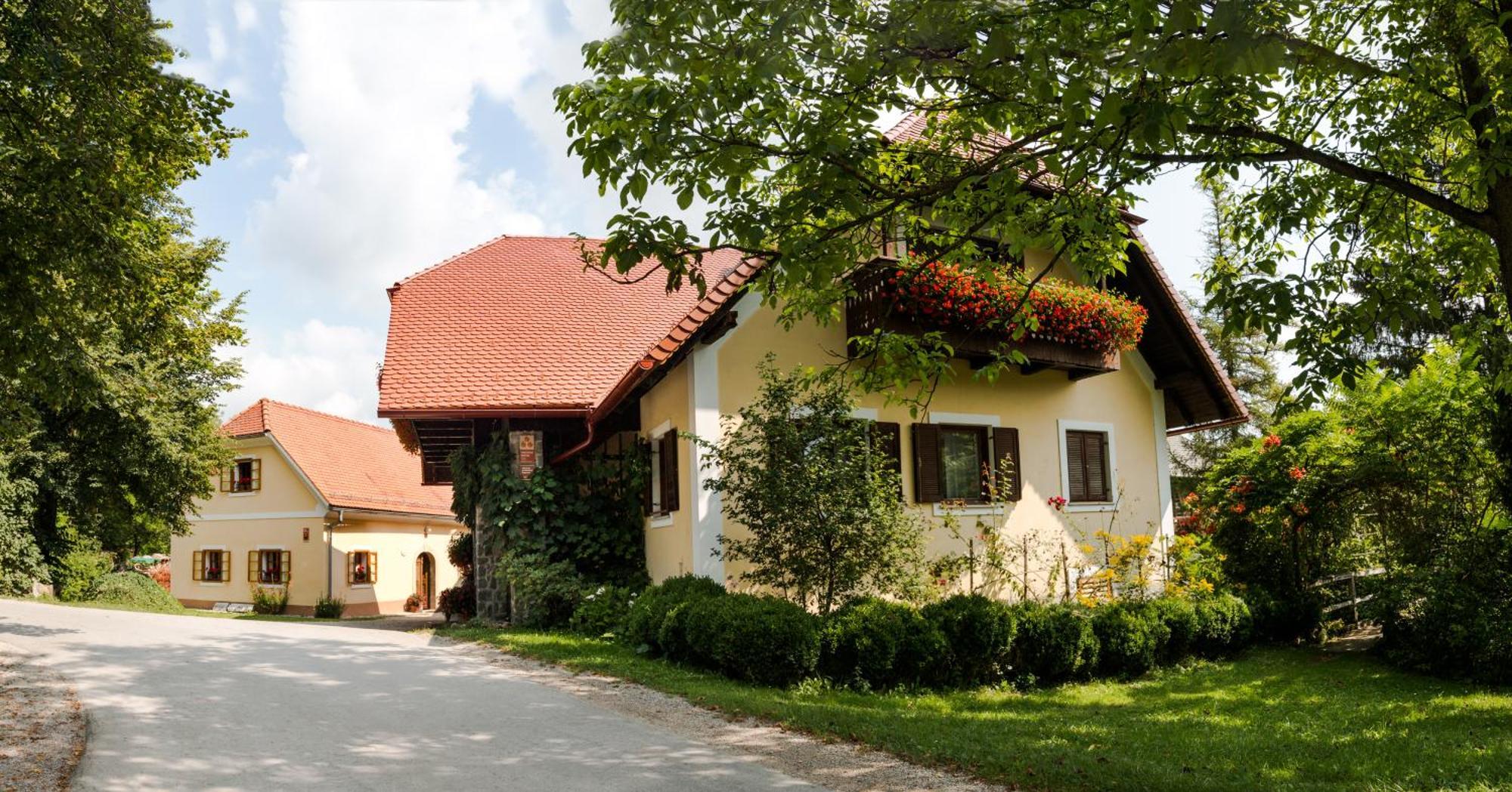 Nova Cerkev Farm Sorzev Mlinヴィラ エクステリア 写真