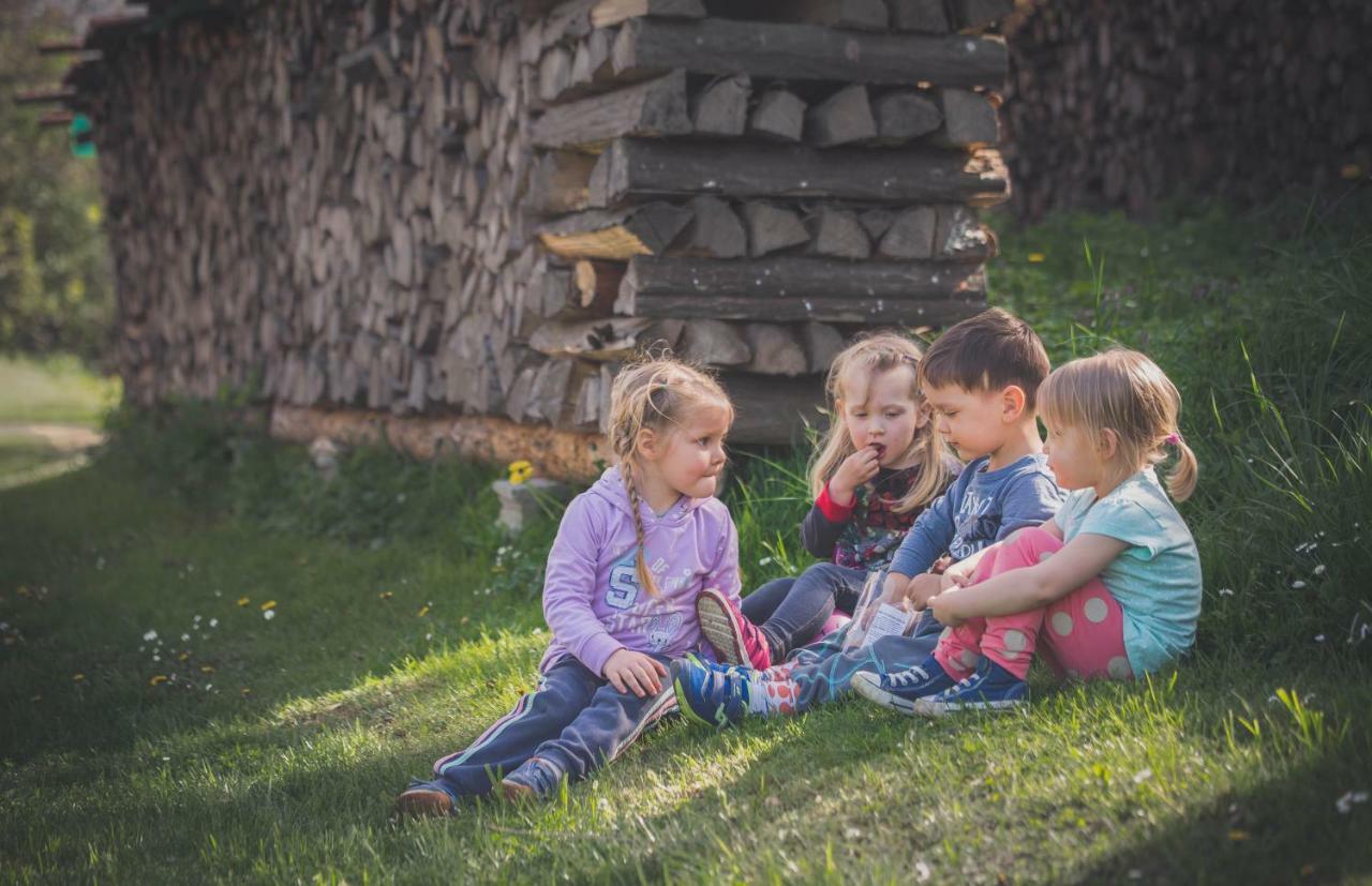 Nova Cerkev Farm Sorzev Mlinヴィラ エクステリア 写真